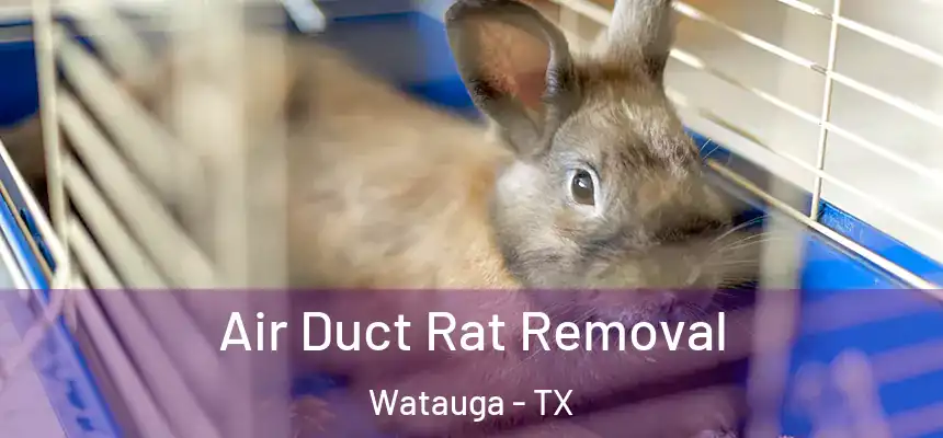 Air Duct Rat Removal Watauga - TX