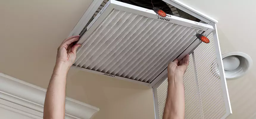 Preventive Cockroach-Proofing for Ducts in Watauga