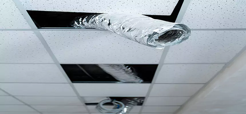 Affordable HVAC Sanitizing After Pest Removal in Watauga