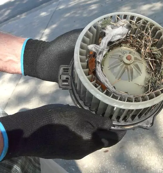 About Air Duct Mice Removal in Watauga, TX